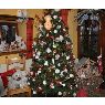 Jean-Luc Duchene's Christmas tree from Belgium