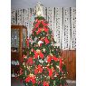 Marcela Gonzalez Alderete's Christmas tree from Jujuy, Argentina