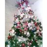 Samdy Olivo's Christmas tree from Guarenas, Venezuela