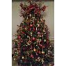 Weihnachtsbaum von Shirley Haque (Yorkshire, England)