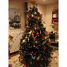 Hector Delgado's Christmas tree from Bilbao, España