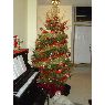 Weihnachtsbaum von Moreno Family (USA)