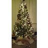 Natalie Morin & Brian Terbrack's Christmas tree from Troy, MI, USA