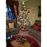 nino2075's Christmas tree from New York , USA