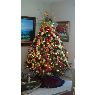 Aura Polanco's Christmas tree from Santo Domingo, Republica Dominicana
