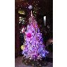 Itzel Olivares Rodriguez's Christmas tree from Mexico, D.F