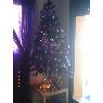 Maria del carmen 's Christmas tree from Girona, España