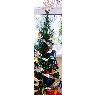 Árbol de Navidad de the green recession tree (ireland)