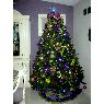 Silvia Huskey's Christmas tree from Cd. Obregon Sonora Mexico