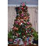 Minerva Capilla's Christmas tree from distrito federal,Mexico