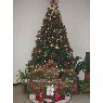 yaritza branca's Christmas tree from venezia- italia