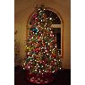Tricia Vinezeano's Christmas tree from Peotone, IL