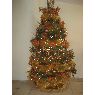 Eva Perales's Christmas tree from Miami, florida