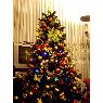 Bego  Robres's Christmas tree from Bilbao España