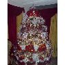 Pablo Agreda 's Christmas tree from Zulia, Venezuela