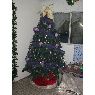 Familia Zuñiga Gallardo's Christmas tree from Colon, Panama