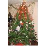 Alexis Estrella's Christmas tree from Ecuador - Quito
