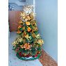 ALEJANDRA MORALES 's Christmas tree from SAN CRISTOBAL - VENEZUELA 