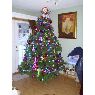 Esther Palacios's Christmas tree from Des Moines, IA  USA