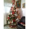 Familia Medina's Christmas tree from Caracas Venezuela