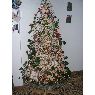 moreau ani's Christmas tree from St sulpice de cognac