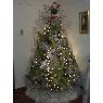 GLADYS RIVAS's Christmas tree from CARACAS, VENEZUELA