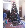 SONIA CANO ANDRADE's Christmas tree from ECUADOR