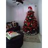 Ayolany Perez's Christmas tree from Barranquilla, Colombia