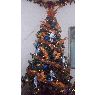 Fernando Sabillon's Christmas tree from Honduras