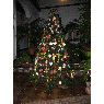almudena's Christmas tree from sevilla