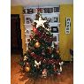Árbol de Navidad de ana belén (valencia, españa)