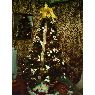 Yenisel de Zuñiga G's Christmas tree from Colon, Panama