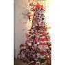 Nancy Vallejo 's Christmas tree from Barcelona Venezuela