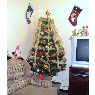 aracely's Christmas tree from México