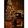 Zhanna Mihaleva's Christmas tree from Marina del Rey, California, USA