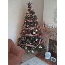 Tori Craig 's Christmas tree from Northern Ireland 