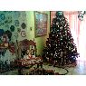 LIZ SALAZAR's Christmas tree from CUA-MIRANDA--VENEZUELA