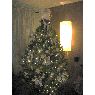 Famille Lavoie's Christmas tree from Canada