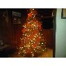 MARIA's Christmas tree from CARACAS
