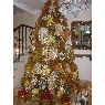 Dora Ayala's Christmas tree from Venezuela, San Cristóbal