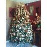 Árbol de Navidad de Damaris R. Cruz (Lakeland, FL, USA)