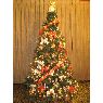 Maria de los Angeles Alvarez's Christmas tree from Lima - Perú