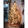 YESENIA AGUILAR ESPINOZA's Christmas tree from TRUJILLO, PERU