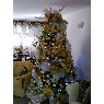 Jorge Cisneros's Christmas tree from Caracas, Venezuela