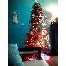 Weihnachtsbaum von ashley perez (Austin, TX, USA)