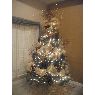 Galilea Lopez's Christmas tree from McAllen, Texas