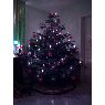 Steven Tandaric's Christmas tree from Karlsruhe, Deutschland