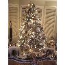 Francine Pelletier's Christmas tree from Beloeil, Quebec,Canada