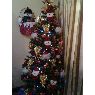 DALY, PEDRO LUIS, GREGORY, LUIGI  FAMILIA BOYER's Christmas tree from CARACAS, VENEZUELA
