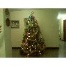 Carlos Vega's Christmas tree from Maracaibo